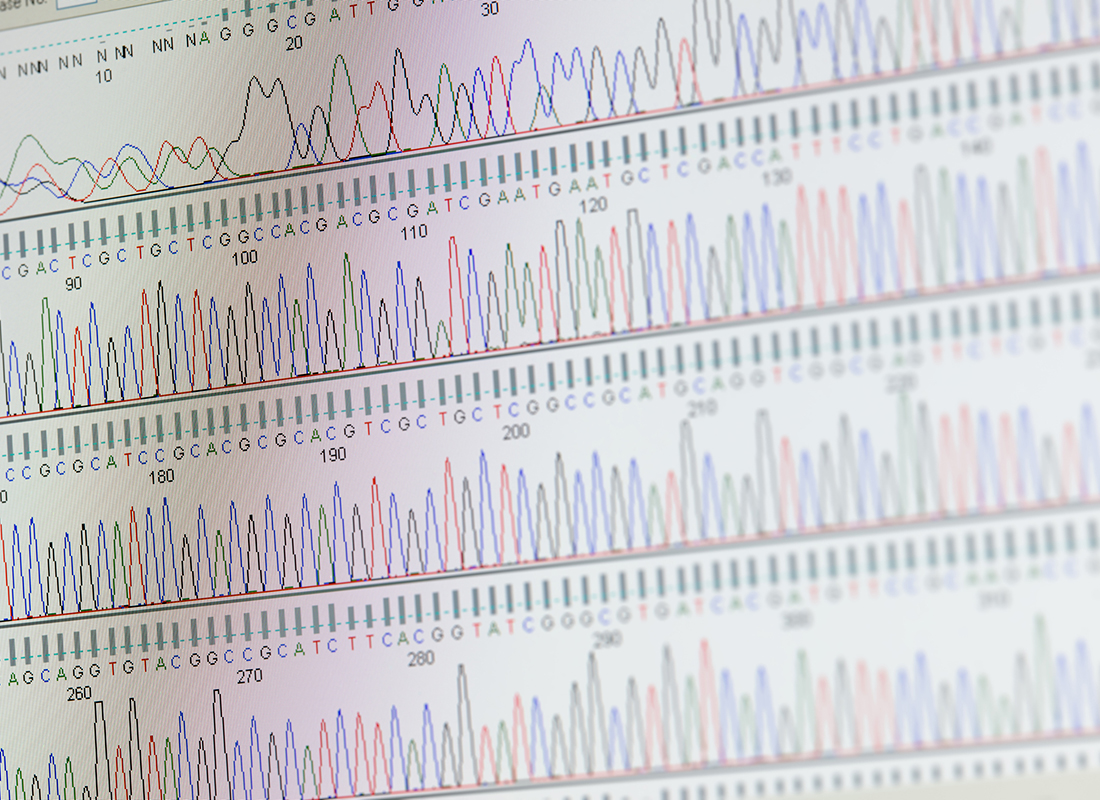 An image of DNA sequencing results displayed on a computer screen.