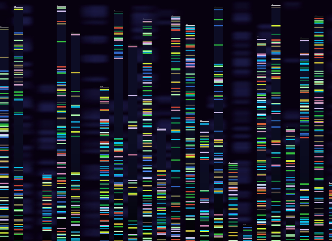 A colorful illustration of a genome map, a visualization of genomic sequence analysis.